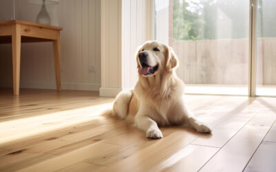 Designing for Paws and People: Is Wooden Flooring Pet-Friendly?